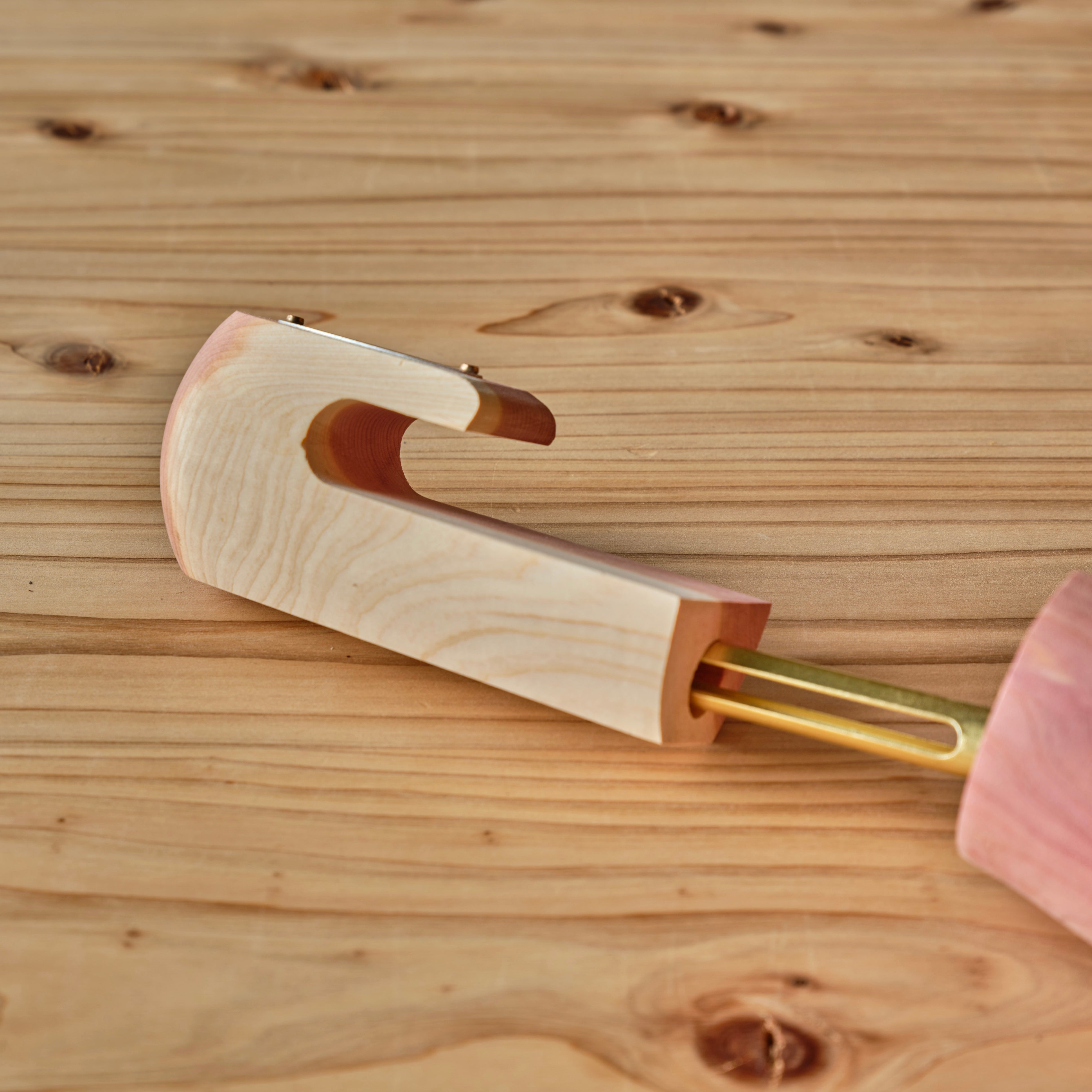 SHOE KEEPER – ANATOMICA NAGOYA