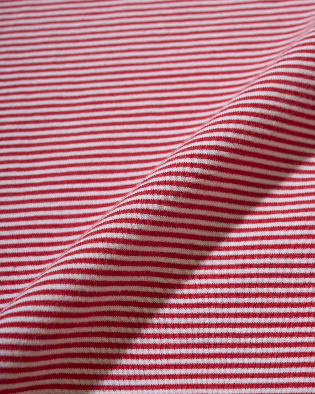 BRIGITTE TEE BORDER