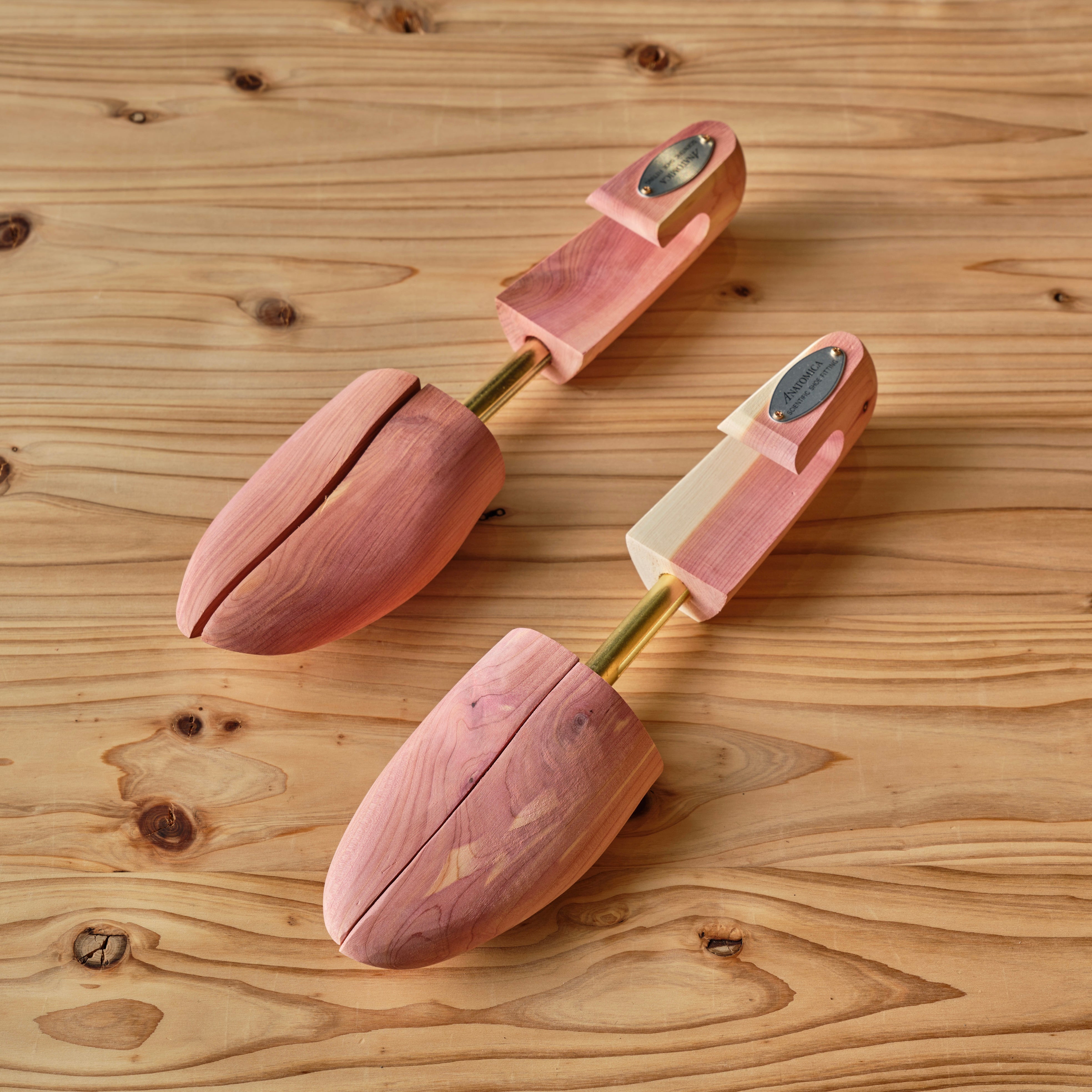 SHOE KEEPER – ANATOMICA NAGOYA