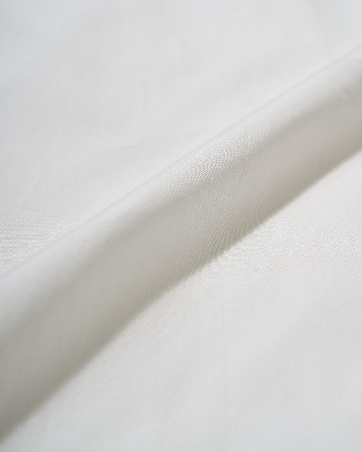 Millicent Bowie Shirts